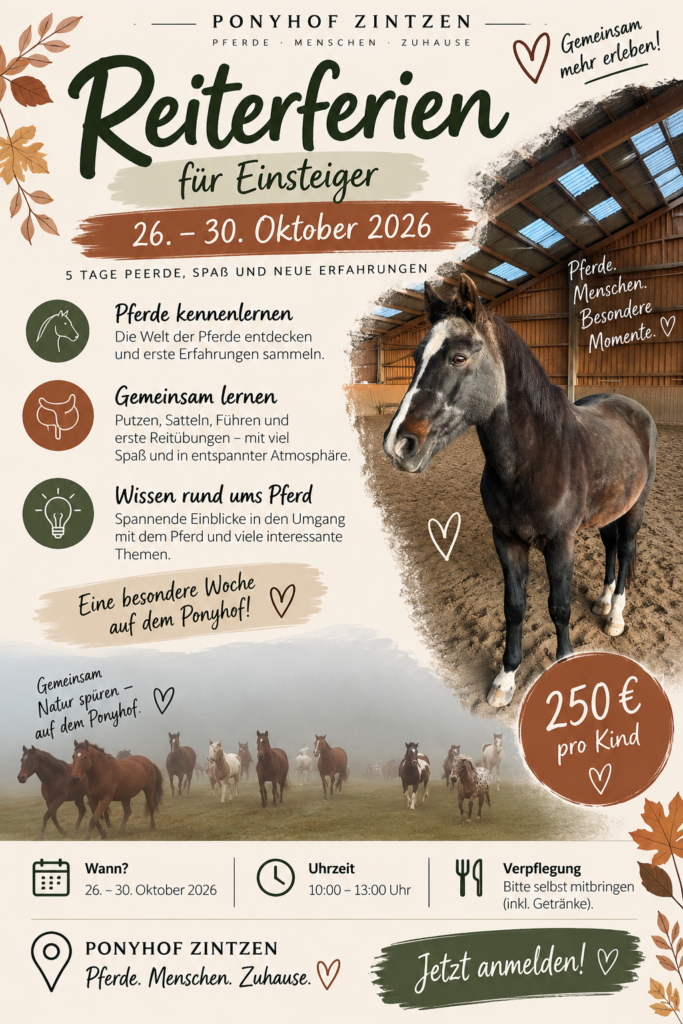 Flyer Reiterferien für Einsteiger